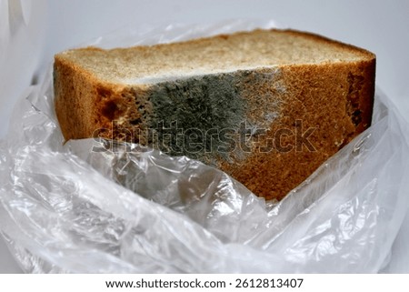 Moldy rye bread in an open cellophane bag. Bread, unsuitable for food. Mold due to improper storage of the product. Mold stains on bread. Selective focus. close-up
