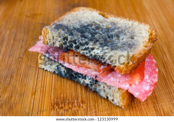 moldy-sandwich-salami-tomatoes-on-600w-123130999.jpg