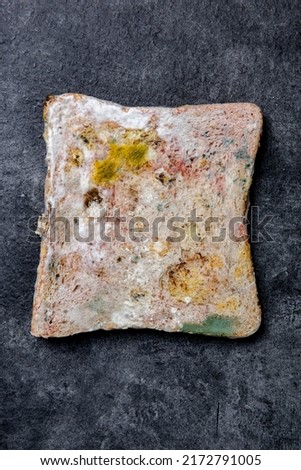 Moldy slice of bread on black background 