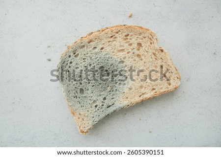Moldy slice of bread on a light gray background