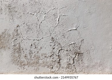 moldy texture of damp white wall