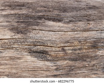 Moldy Wood Texture Stock Photo 682296775 | Shutterstock