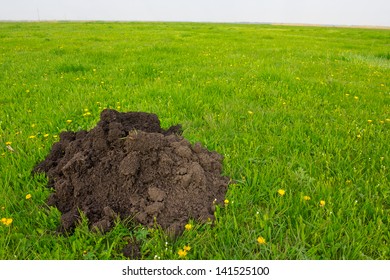 Mole Hole In A Field