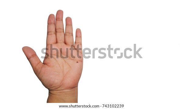 Mole On Left Hand Asian Woman Stock Photo Edit Now 743102239 https www shutterstock com image photo mole on left hand asian woman 743102239