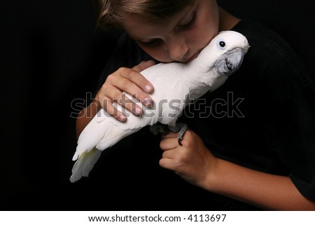 Similar – Foto Bild Vögelchen blau Kind