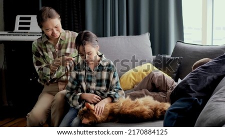 Mom braids her daughter's hair in the morning, sitting on the sofa in the living room. Girl petting a big red Maine Coon cat