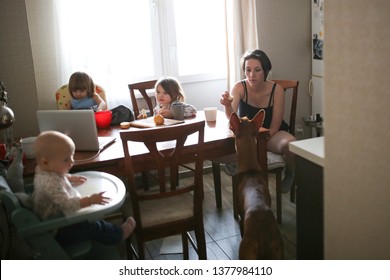 Mom With Children And A Dog In The Kitchen, Watching A Cartoon, Drinking Coffee, Real Kitchen In A Rented Apartment, Chaos