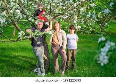 Mama, Papa und Kinder auf einem Spaziergang im Frühlingsapfelgarten