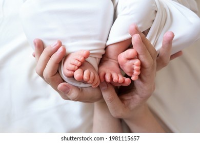 Mom And Dad Hands Hold Small Legs Of Their Two Newborn Twin Babies