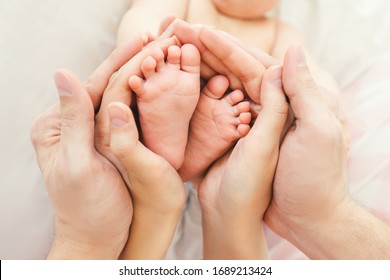 Mom And Dad Hold Baby Legs. Taking Care Of A Newborn.