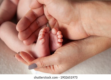 赤ちゃんの手 の画像 写真素材 ベクター画像 Shutterstock
