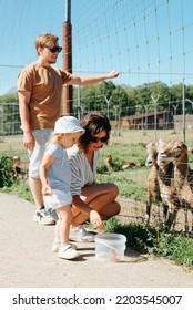 Mom, Dad And Little Daughter On Walk In Zoo Outdoors. Mother And Child Feeding Animals, Giving Food To Goats.