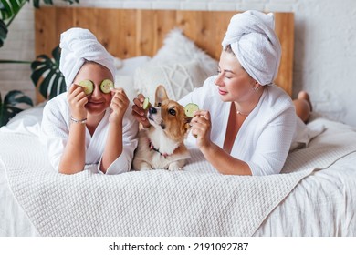 Mom and daughter have fun wrapped in white bath towel, spend spa day at home, making face mask, applying cucumber slices to eyes, playing with their dog. Concept beauty salon, wellness spa, skin care - Powered by Shutterstock