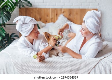 Mom and daughter have fun wrapped in white bath towel, spend spa day at home, making face mask, applying cucumber slices to eyes, playing with their dog. Concept beauty salon, wellness spa, skin care - Powered by Shutterstock