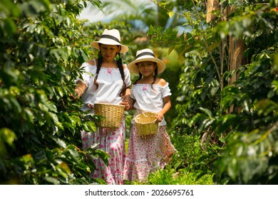 mom and daughter picking up coffee beans in a coffee plantation - Shutterstock ID 2026695761
