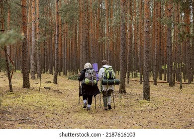 Mom And Daughter Walking In The Woods. Elderly Woman And Young One Have Backpack, Trecking Poles Hicking. Back View Of Women Walking Along Wooden Path.