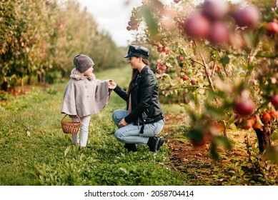 Mom And Her Baby Girl Walking And Picking Apples In The Garden. Harvesting Autumn. Apple Orchard, Wild Garden.