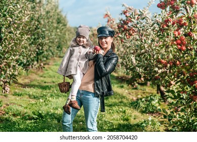 Mom And Her Baby Girl Walking And Picking Apples In The Garden. Harvesting Autumn. Apple Orchard, Wild Garden.