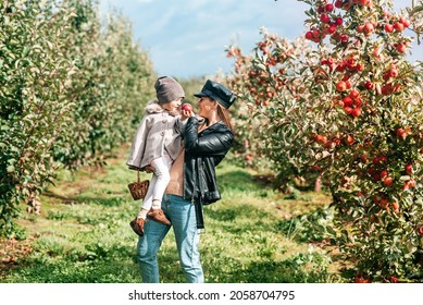 Mom And Her Baby Girl Walking And Picking Apples In The Garden. Harvesting Autumn. Apple Orchard, Wild Garden.