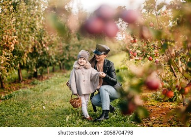 Mom And Her Baby Girl Walking And Picking Apples In The Garden. Harvesting Autumn. Apple Orchard, Wild Garden.