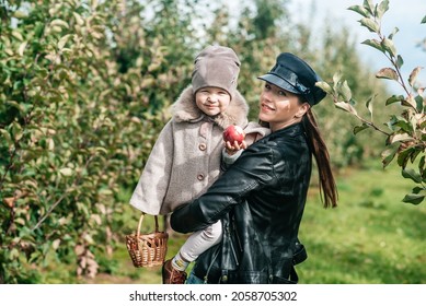 Mom And Her Baby Girl Walking And Picking Apples In The Garden. Harvesting Autumn. Apple Orchard, Wild Garden.