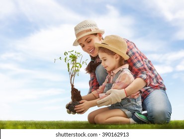 Mom and her child girl plant sapling tree. Spring concept, nature and care.