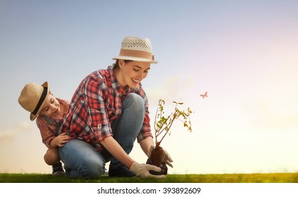 Mom And Her Child Girl Plant Sapling Tree. Spring Concept, Nature And Care.