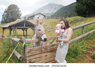 Mom with her daughter having fun at farm ranch and meeting a donkey - Pet therapy concept in countryside with donkey in the educational farm - Pet therapy concept with children - Powered by Shutterstock