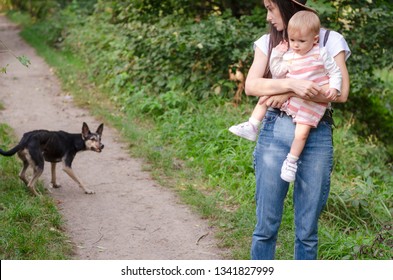 Mom Keeps The Child Tightly Pressed Against Her, Saving From The Attack Of A Wild Dog. The Concept Of Aggressive Street Dogs That Attack People