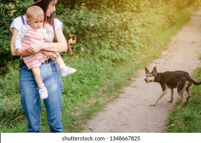 Mom Keeps The Child Tightly Pressed Against Her, Saving From The Attack Of A Wild Dog. The Concept Of Aggressive Street Dogs That Attack People