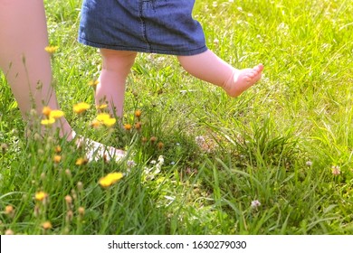 Mom Learning Baby Daughter To Walk, First Steps In Park At Summer Warm Day, Barefooted Legs In Grass Closeup, Side View, . Baby Girl Is Trying To Go Making First Steps Holding Mother's Hands.