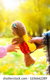 Mom Plays With Baby In The Park.Mom Gives A Toy Bear To The Child In Her Hands. A Child Reaches For A Toy Bear