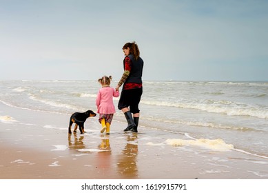 175 Beach dog plage Images, Stock Photos & Vectors | Shutterstock