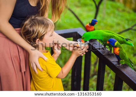Mom and son feed the parrot in the park. Spending time with kids concept