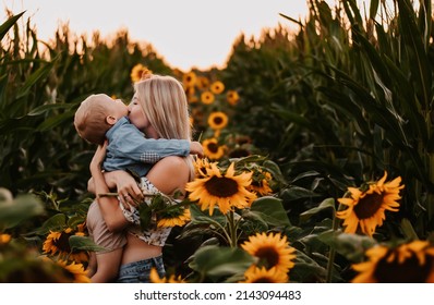 7,568 Baby sunflower plants Images, Stock Photos & Vectors | Shutterstock