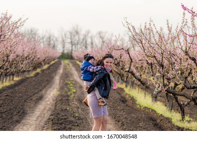 Mom And Son Have Fun And Laugh On A Day Off In A Peach Blossom Garden. Walk With Your Family. Maternity Concept