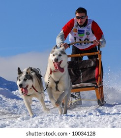 Moment Caught On Photos - Dog Sled World Cup In SLOVAKIA