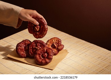 A moment of hand holding Ganoderma mushroom ( Reishi mushroom)  with several Ganoderma lucidum are placed on the paper package. Blank space for text