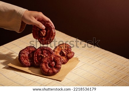 A moment of hand holding Ganoderma mushroom ( Reishi mushroom)  with several Ganoderma lucidum are placed on the paper package. Blank space for text