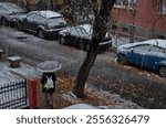 Moment of a storm with strong wind, heavy snowfall and leaves still unfallen on the trees on a street with parked cars, Sofia, Bulgaria 