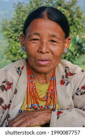 Mon district, Nagaland, India - 11 18 2010 : Portrait of old Naga Konyak tribe woman wearing traditional necklace and multiple earrings on natural background