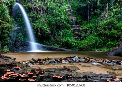 Doi Suthep Waterfall Imagenes Fotos De Stock Y Vectores Shutterstock