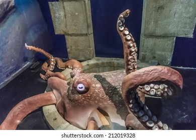 MONACO - JULY 8, 2014: Aquarium In Oceanographic Museum In Monaco - Museum Of Marine Sciences. Oceanographic Museum Is Home To The Mediterranean Science Commission.