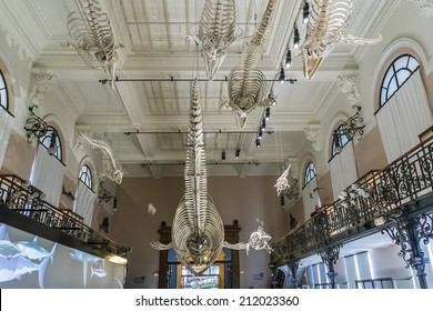 MONACO - JULY 8, 2014: Interior Of Oceanographic Museum In Monaco - Museum Of Marine Sciences. Oceanographic Museum Is Home To The Mediterranean Science Commission.