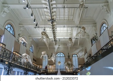 MONACO - JULY 8, 2014: Interior Of Oceanographic Museum In Monaco - Museum Of Marine Sciences. Oceanographic Museum Is Home To The Mediterranean Science Commission.