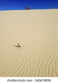 Monahans Sandhills State Park, Texas