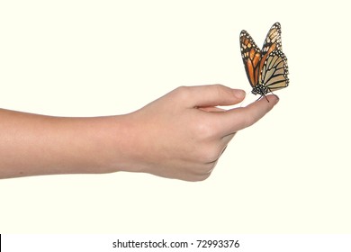 Monarch Butterfly Child Hand White Background