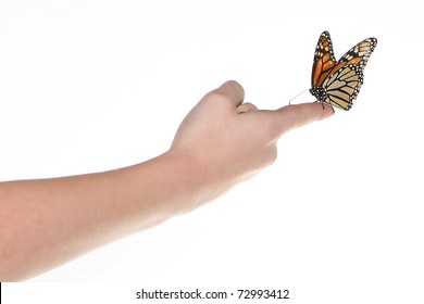 Monarch Butterfly Child Hand White Background