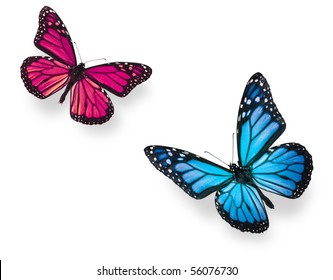  Purple Butterfly Flying Images Stock Photos Vectors 