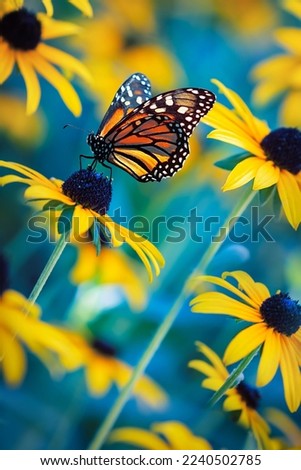 Monarch Butterfly on a yellow flower in an enchanted garden. Summer spring background.